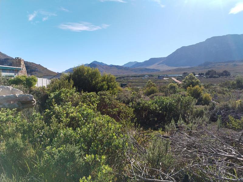 0 Bedroom Property for Sale in Pringle Bay Western Cape